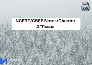 NCERT/CBSE Notes/Chapter 2/Tissue