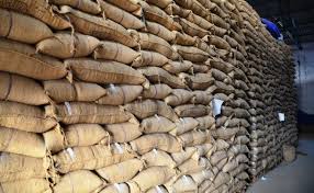 Storage of Food Grains/ Class 9 Improvement in Food Resources Notes